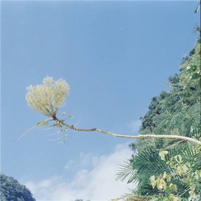 鲜血与荣耀手游(暂未上线)v1.0.0 安卓版